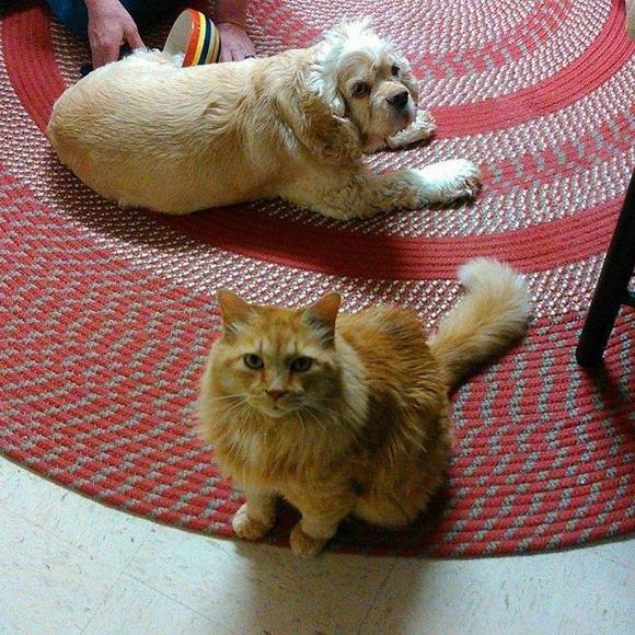 Meet your Posher, David - Picture 1 of 1